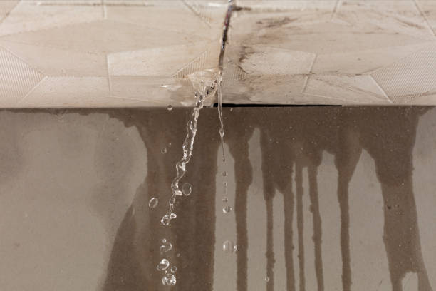 Professional Water Damage Repair technician working in Elgin, TX